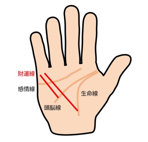 財運線|財運線とは？特徴ごとの意味と見方をわかりやすく解。